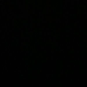 Meet your Posher, Sophia